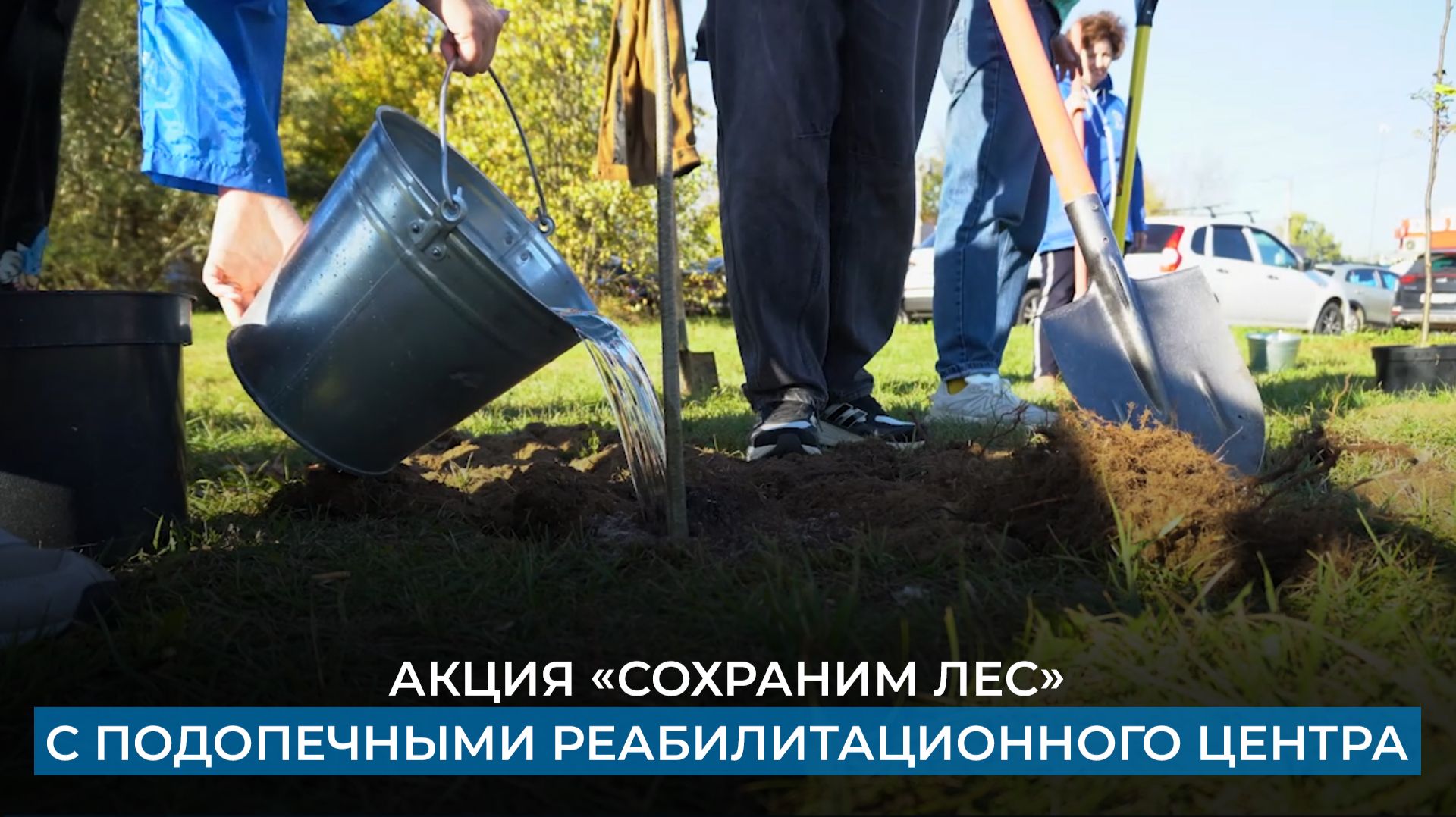Сюжеты ТВ-Домодедово