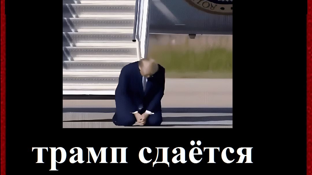 Новый Стандарт Образования