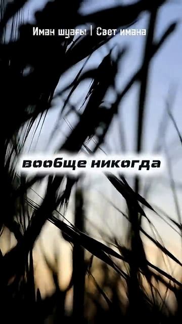 📹 Начни с чистого листа, пока есть время... 🌿 → 👤 #Иман_шуағы_|_Свет_имана →