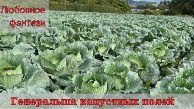 Любовное Фэнтези Аудиокниги