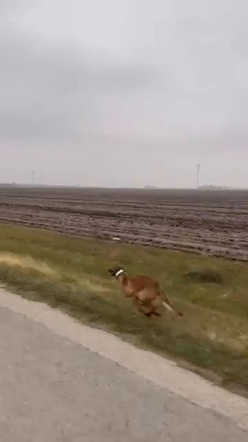 Сама по себе