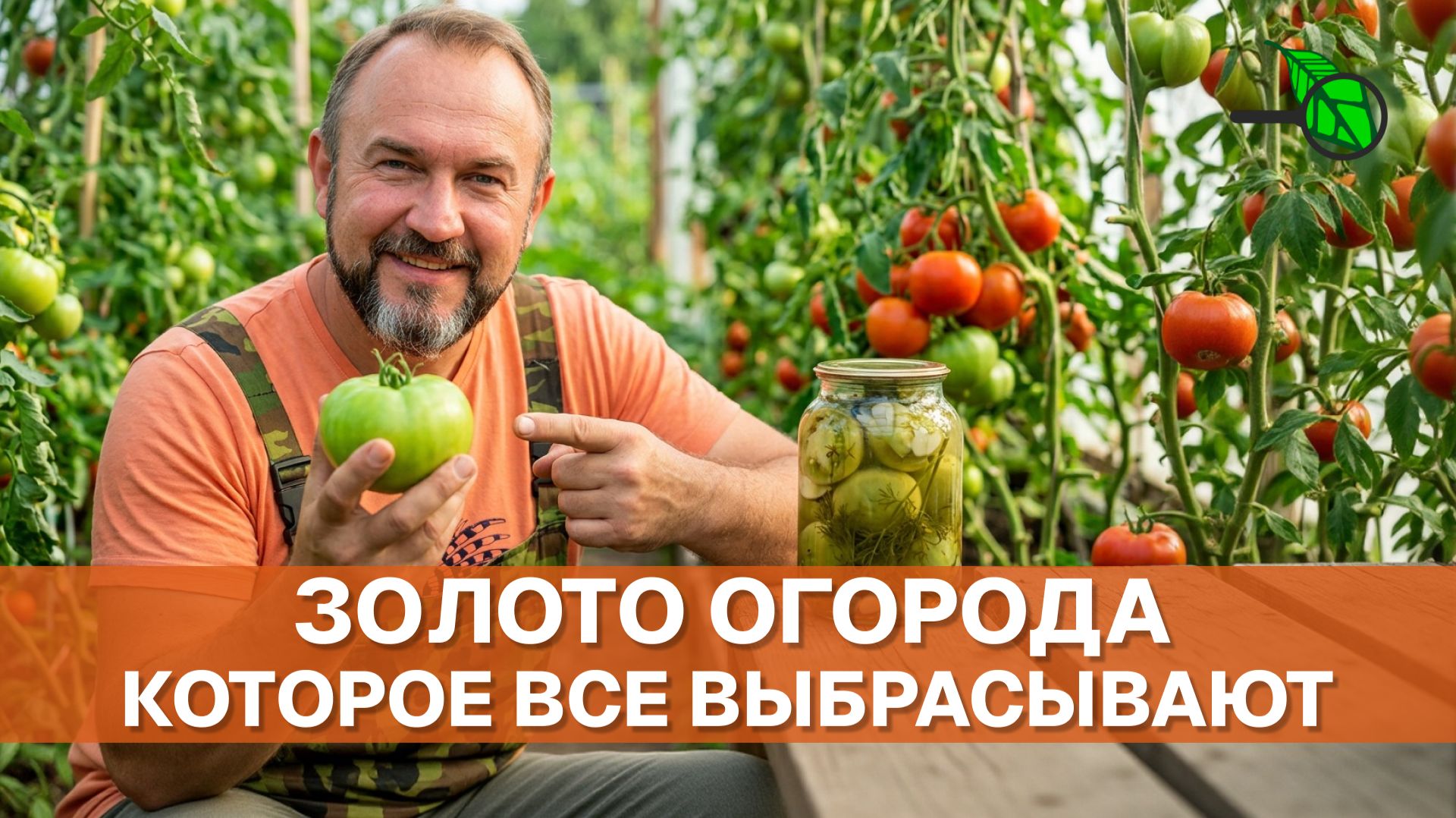 🛑 НИКОГДА НЕ ВЫБРАСЫВАЙТЕ ЗЕЛЁНЫЕ ТОМАТЫ! Максимальная польза для здоровья своими руками