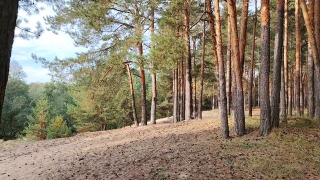 Немного про работу по найму в организации