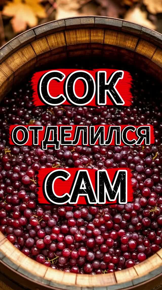 Домашние напитки. Личный опыт