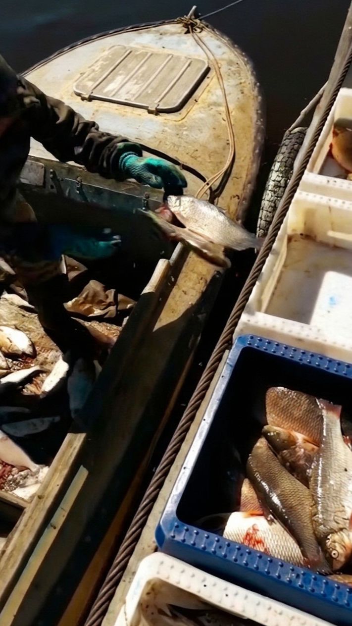 🎣 Летняя рыбалка хантов в протоке Оби