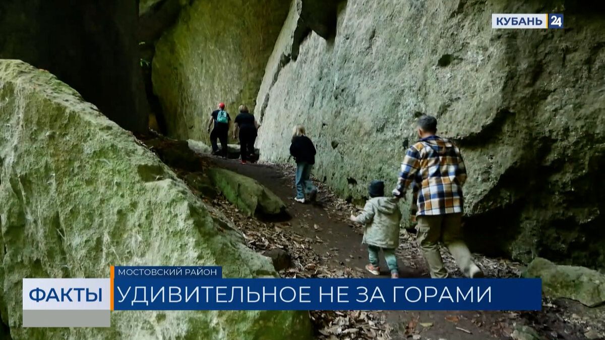 Факты