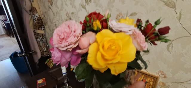 Влог