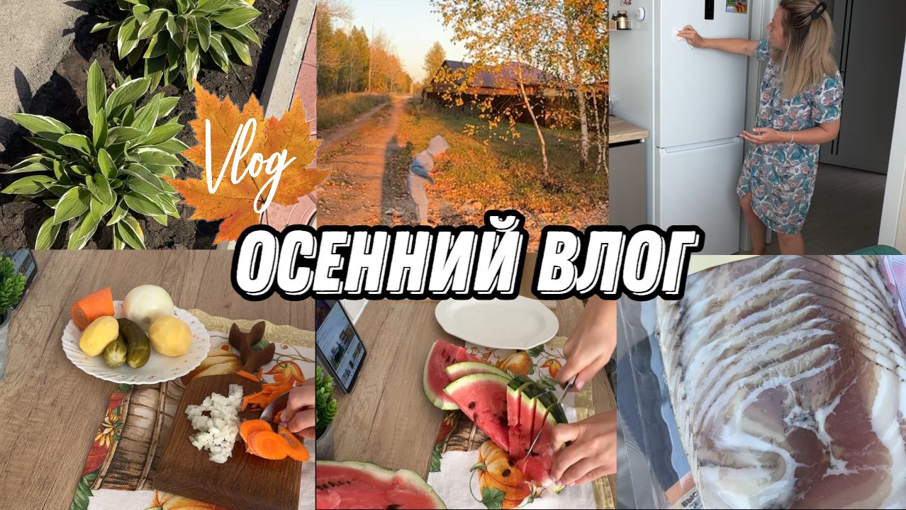 VLOG: Отвечаю на ваши ВОПРОСЫ//Виню себя и ПЛАЧУ//Мои ХОСТЫ//Работа ПО ДОМУ//Воспитание и САДИК