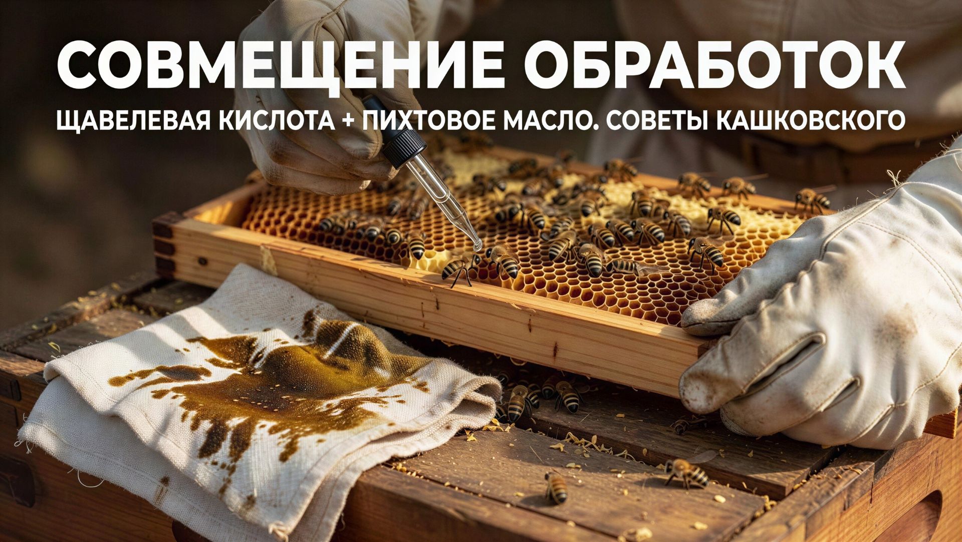 Борьба с болезнями и клещом