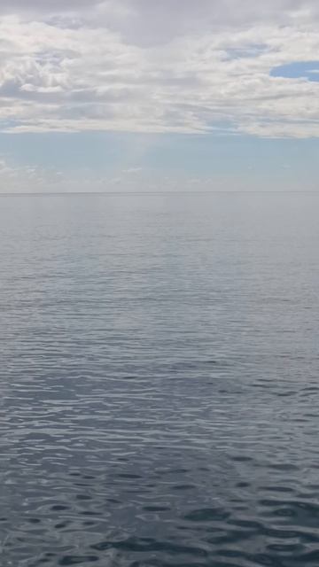 моречко