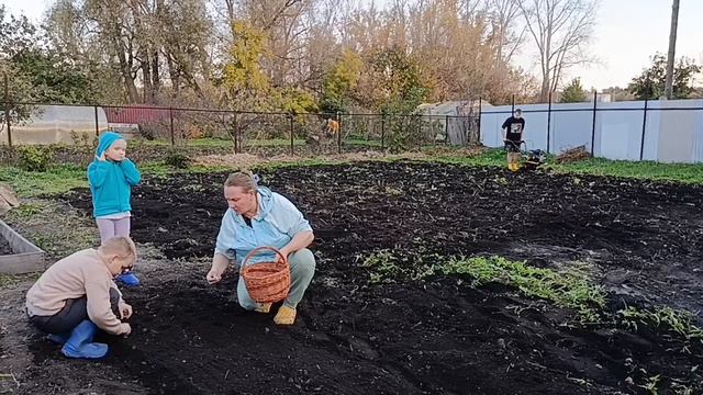 ОГОРОД ВСПАХАЛИ, ЧЕСНОК ВАДИМ С ПОМОЩНИКАМИ ТРИ ГРЯДКИ.