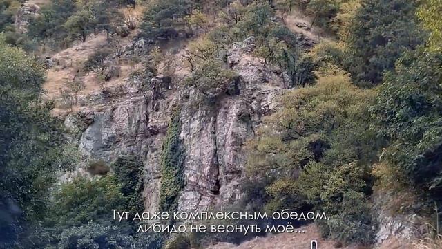 А НЫНЧЕ ВСЁ... ЗАСОХЛИ ПОЧКИ