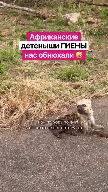 ЮАР