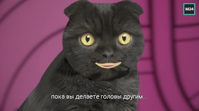 013. Бублик. Максимальный размер кредита для разных организаций