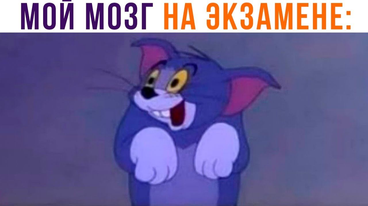 МОЙ МОЗГ НА ЭКЗАМЕНЕ))) Приколы