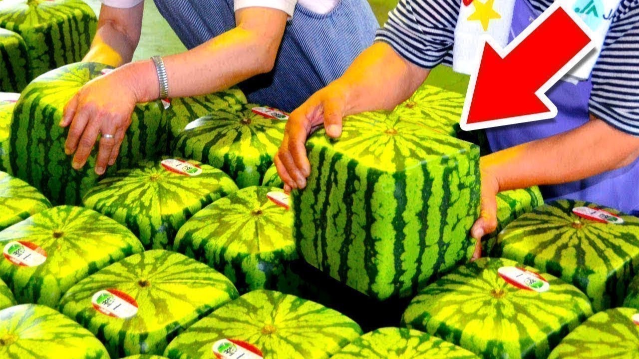 Удивительное Внимание Японцев К Деталям