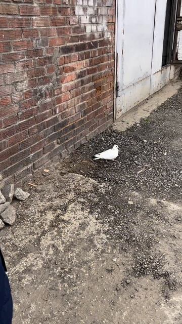 Город😊