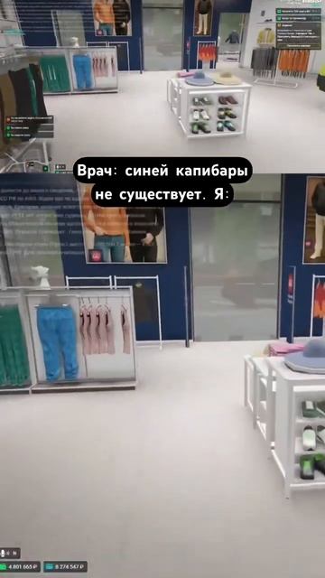 Капибары на RMRP вышли из-под контроля 🪨