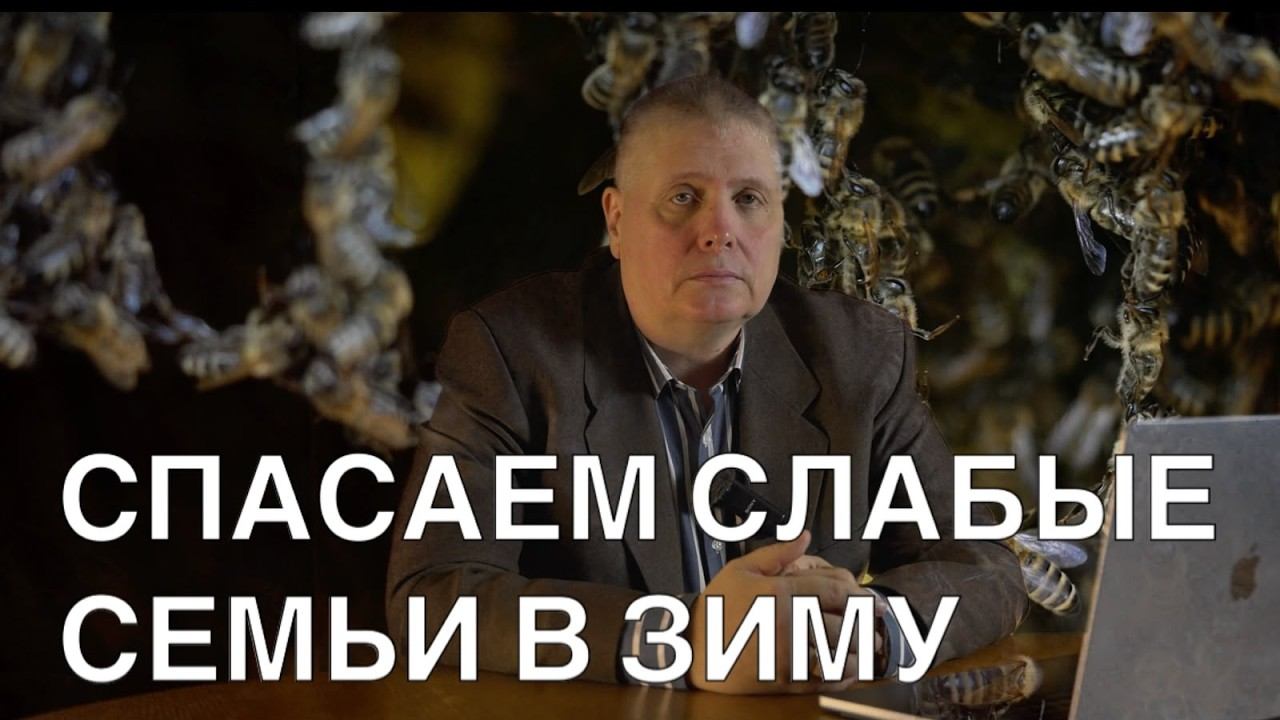 СПАСАЕМ СЛАБЫЕ СЕМЬИ В ЗИМУ