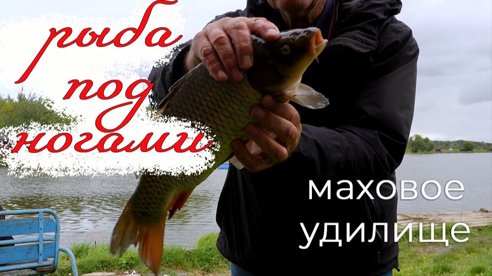 Херабуна