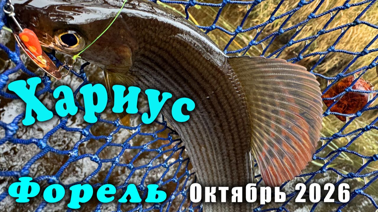 Рыбалка 2026