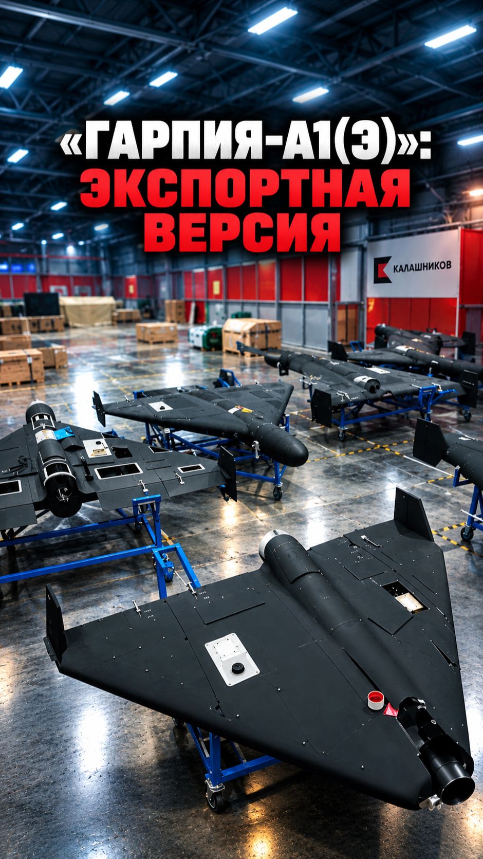 «Алмаз-Антей» представит дрон «Гарпия-А1(Э)» во Вьетнаме