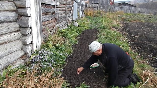 Сад