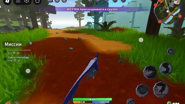 1000003059.mp4