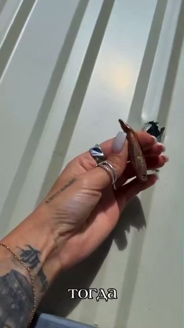 ��� ������