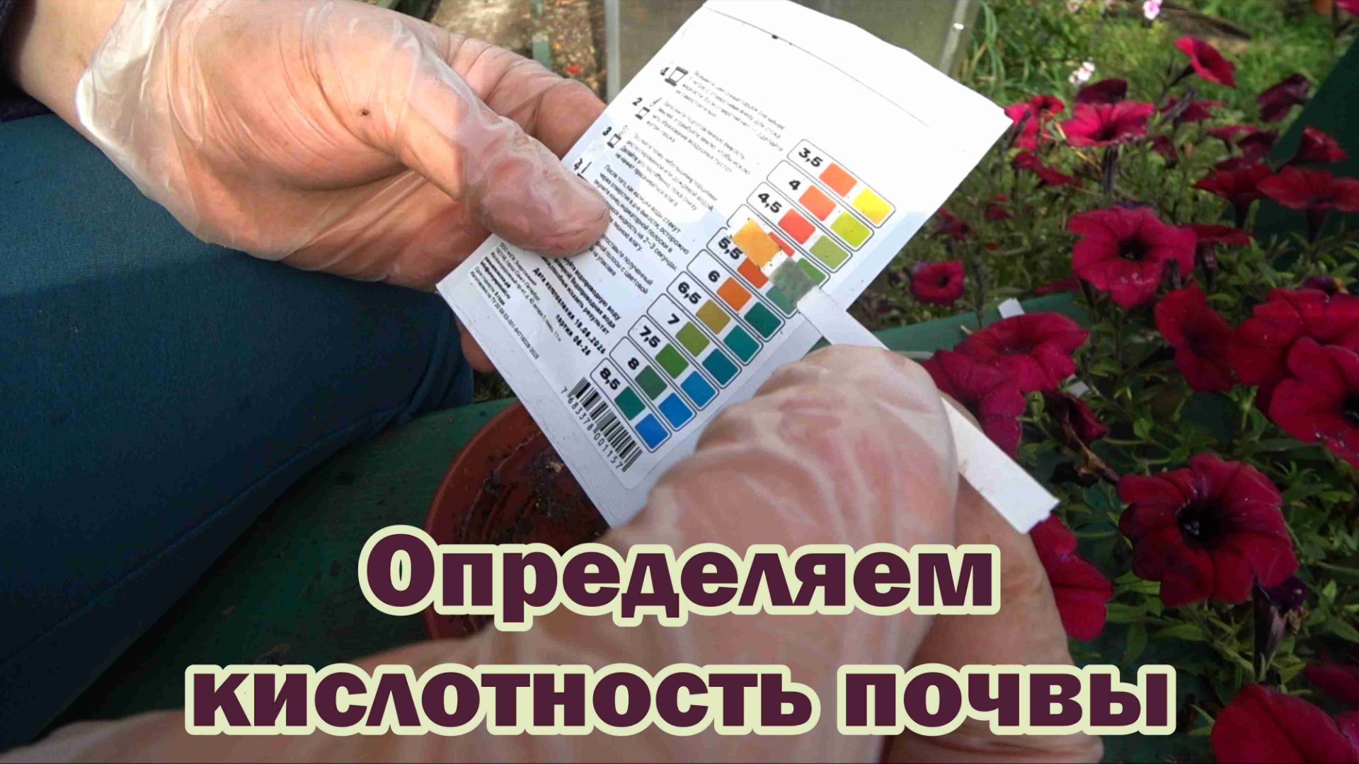 Провожу тест на кислотность почвы