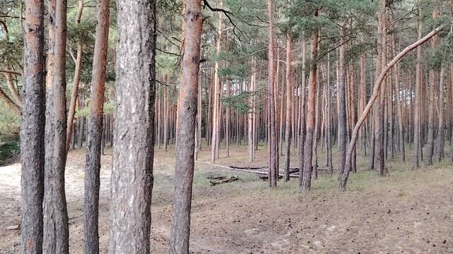 Немного о финансовой грамотности