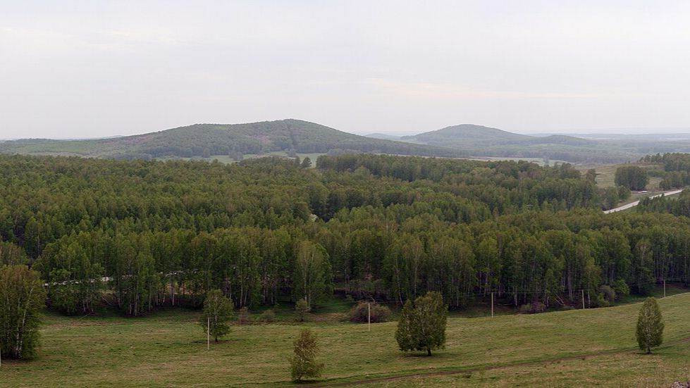 Лирика