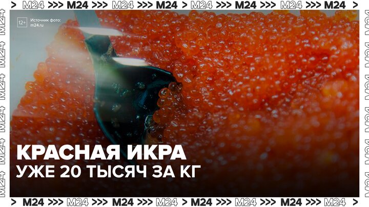 Красная икра нового улова подорожала до 20 тысяч рублей за килограмм - Москва 24