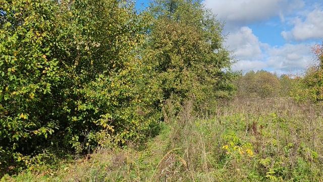 Отпуск 🍂 РЕШИЛА СХОДИТЬ НАЛЕВО 😄