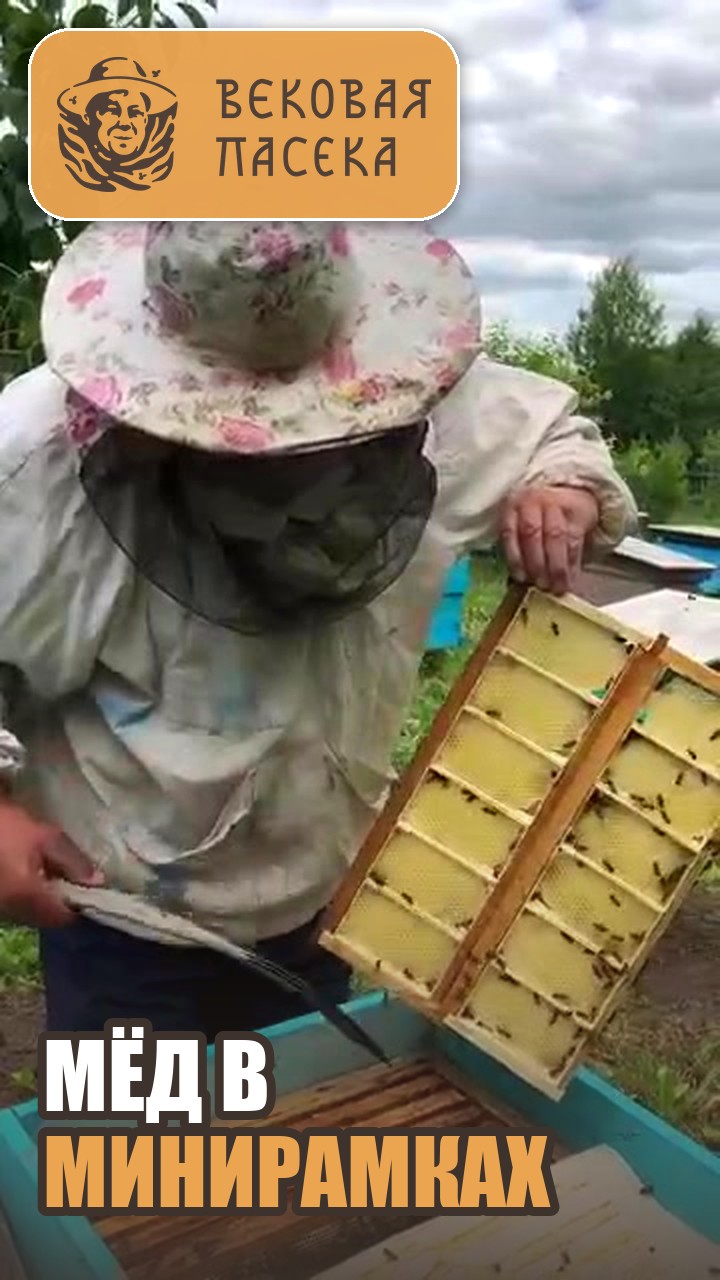 Мёд в сотах