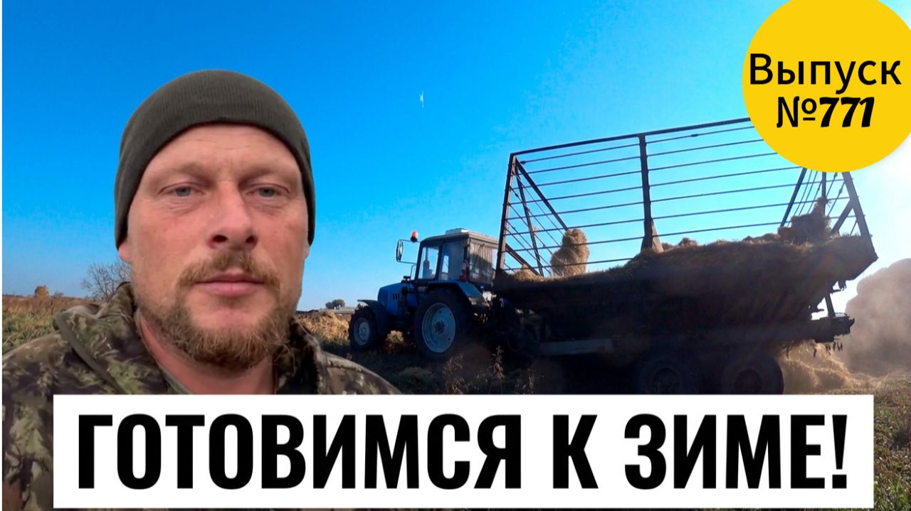 Успеть до морозов: как мы готовим хозяйство и коров к сибирской зиме.