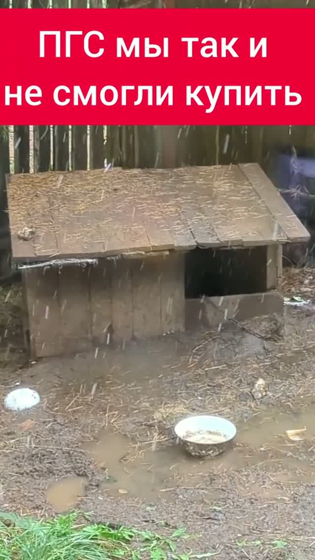 Яживой