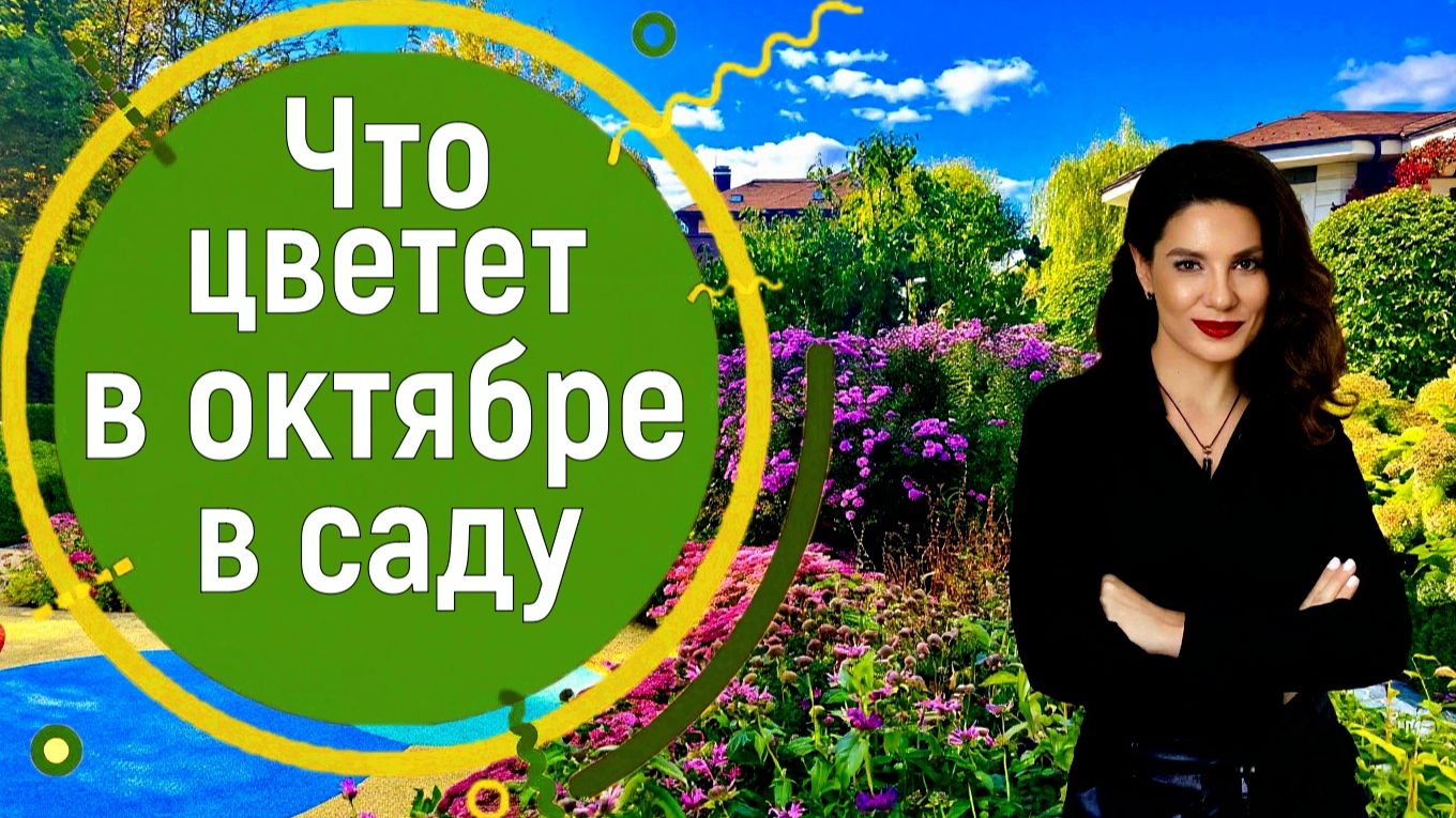 Что цветёт в саду в октябре? #сад #дизайн #осень