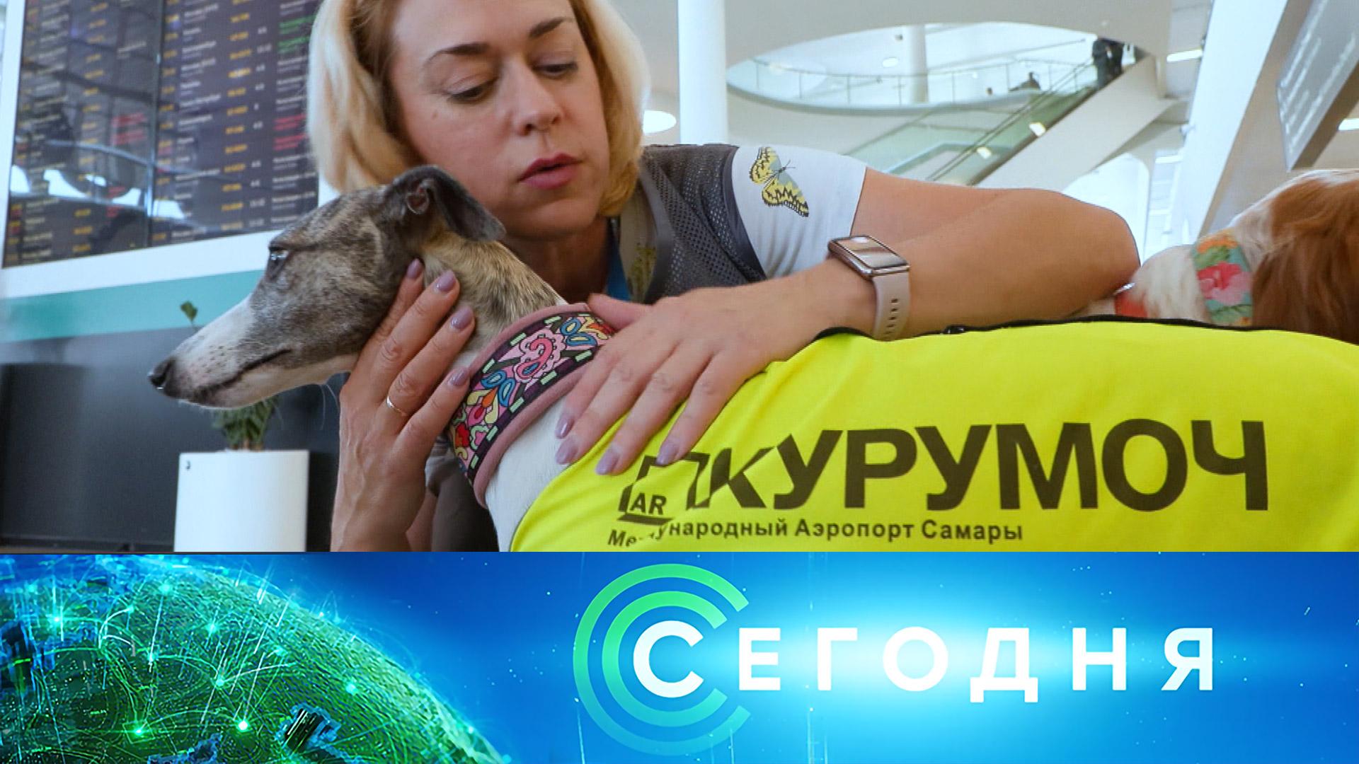 «Сегодня»: 3 октября 2026 года. 16:00 | Выпуск новостей | Новости НТВ