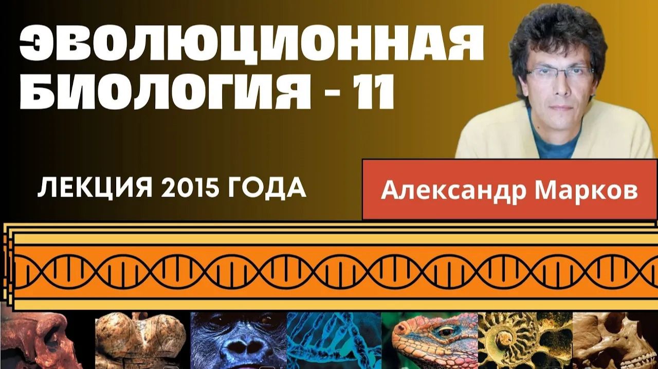 Александр Марков