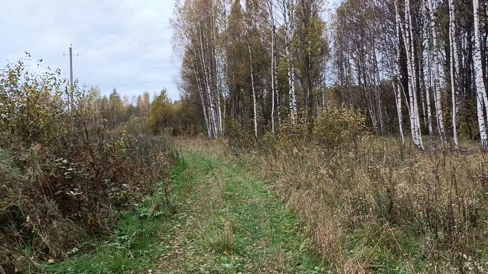 Тихая охота 2026
