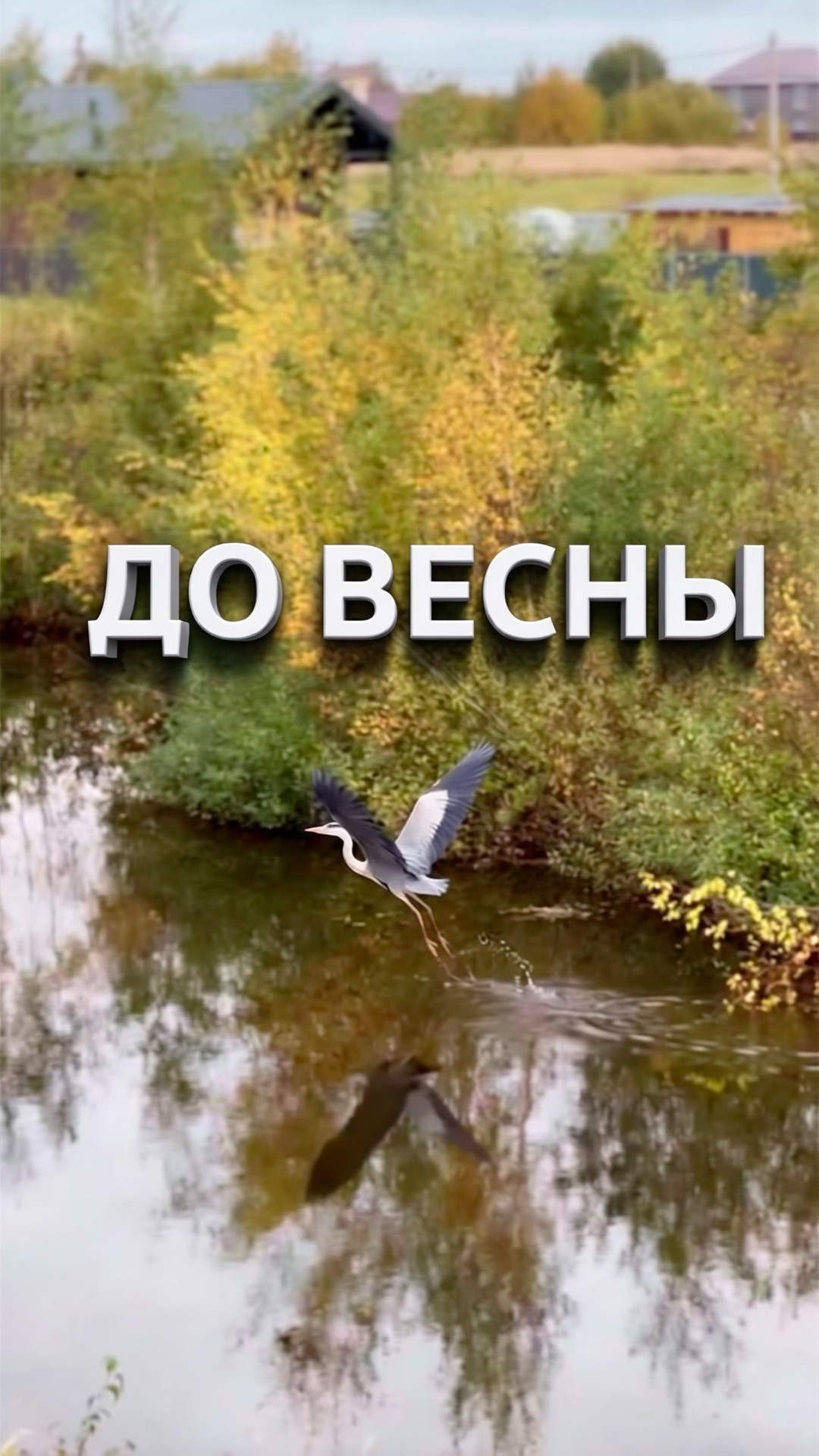 На Даче