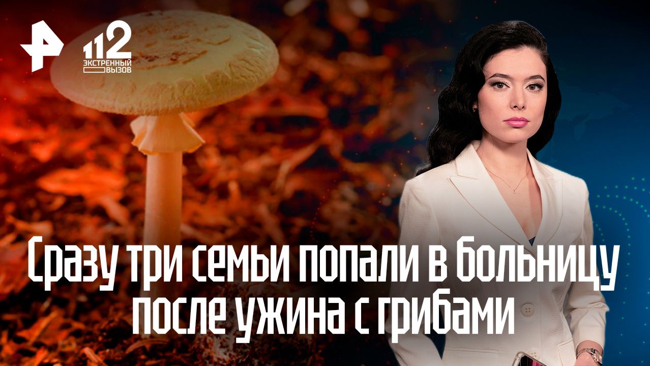 Смертельный двойник: как знакомый гриб может замаскироваться под бледную поганку