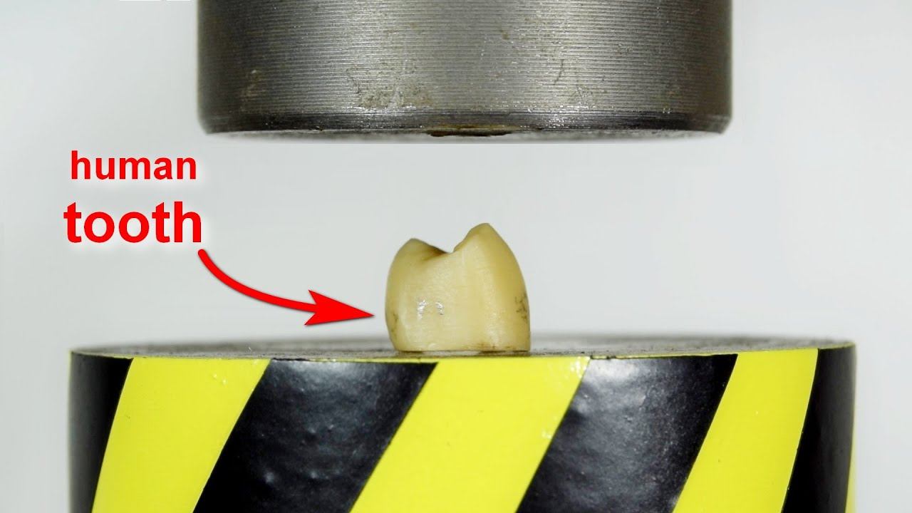 TOP 6 BEST HYDRAULIC PRESS VIDEOS
