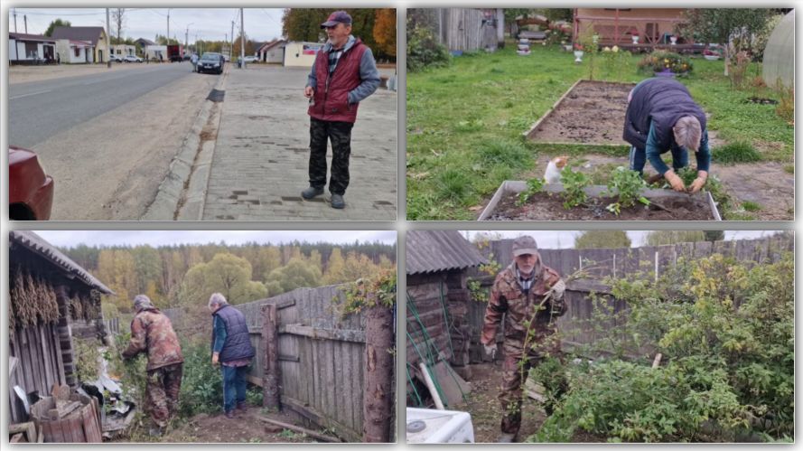 ПРИШЛОСЬ ПОЕХАТЬ В ГОРОД. ОКУРИЛИ ТЕПЛИЦУ, НАВОДИМ ПОРЯДОК В КУРЯТНИКЕ.