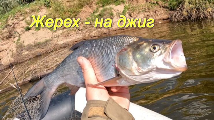 Со спиннингом по Вятке