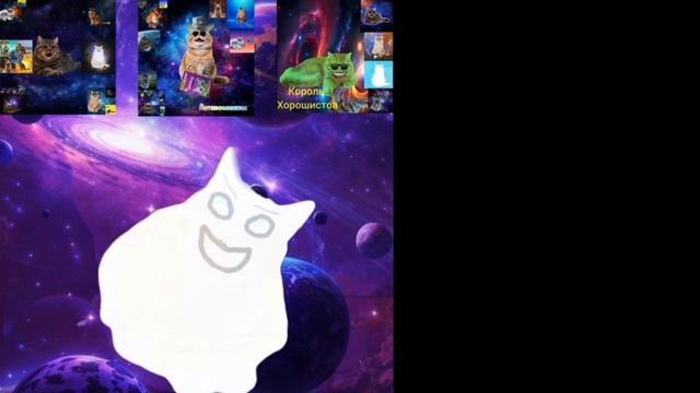 All Videos