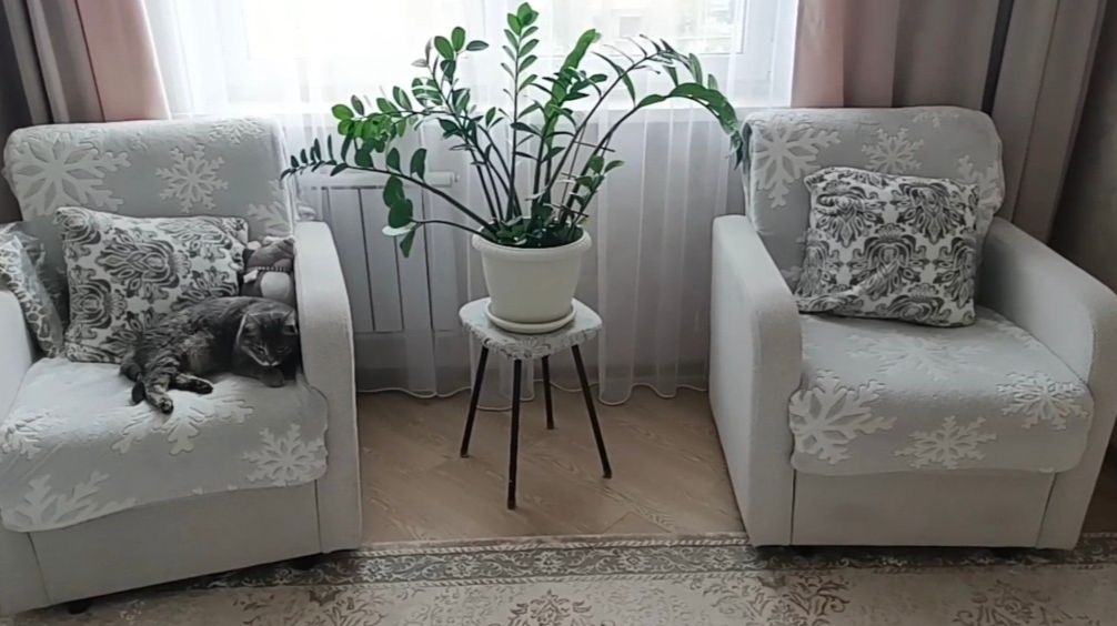 ВЛОГ