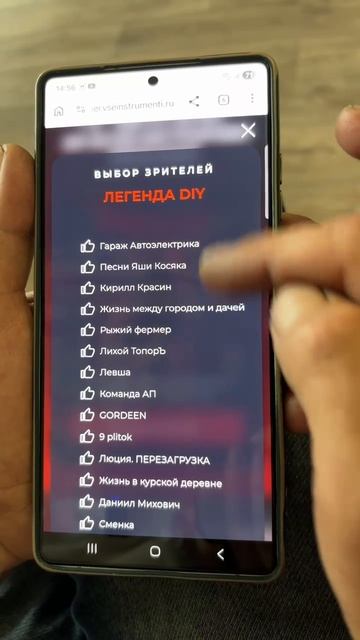 инструкция к голосованию