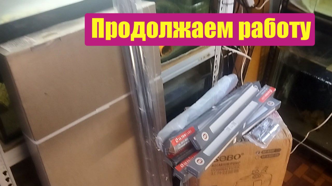 Распаковки, поездки и прочая работа
